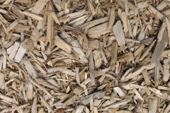 biomass boilers Whissonsett